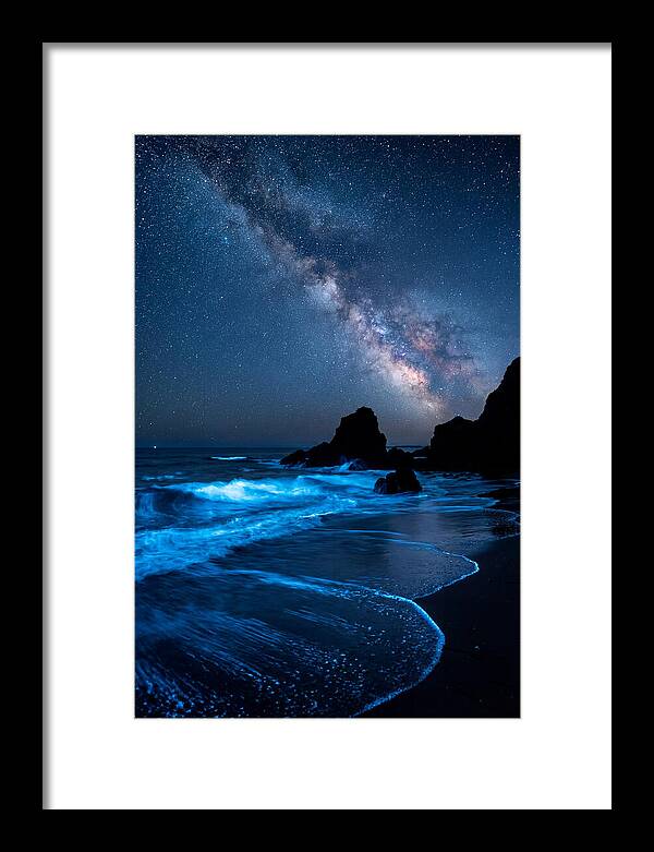 Bioluminescent Waves Under Stars