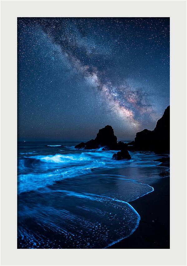 Bioluminescent Waves Under Stars