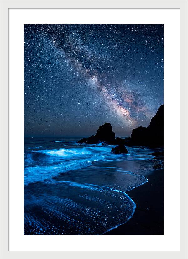 Bioluminescent Waves Under Stars