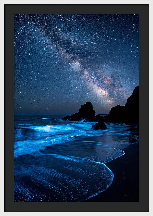 Bioluminescent Waves Under Stars