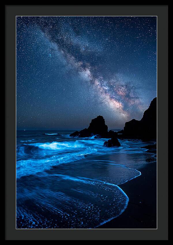 Bioluminescent Waves Under Stars