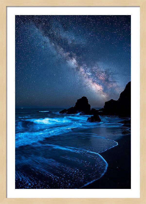 Bioluminescent Waves Under Stars