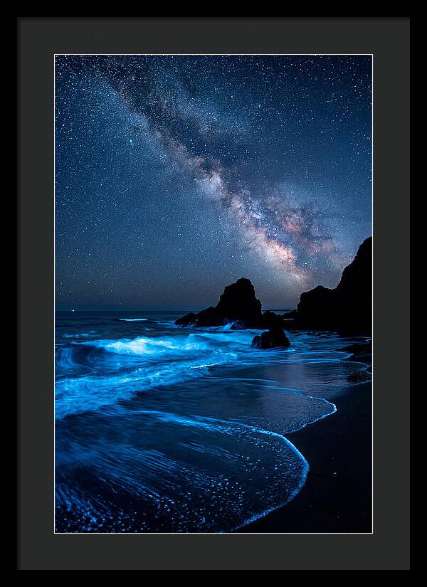 Bioluminescent Waves Under Stars
