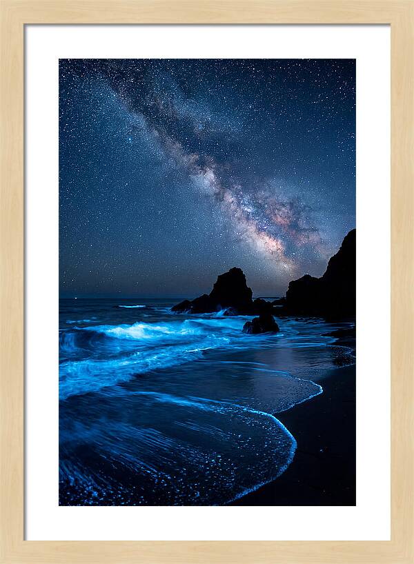 Bioluminescent Waves Under Stars