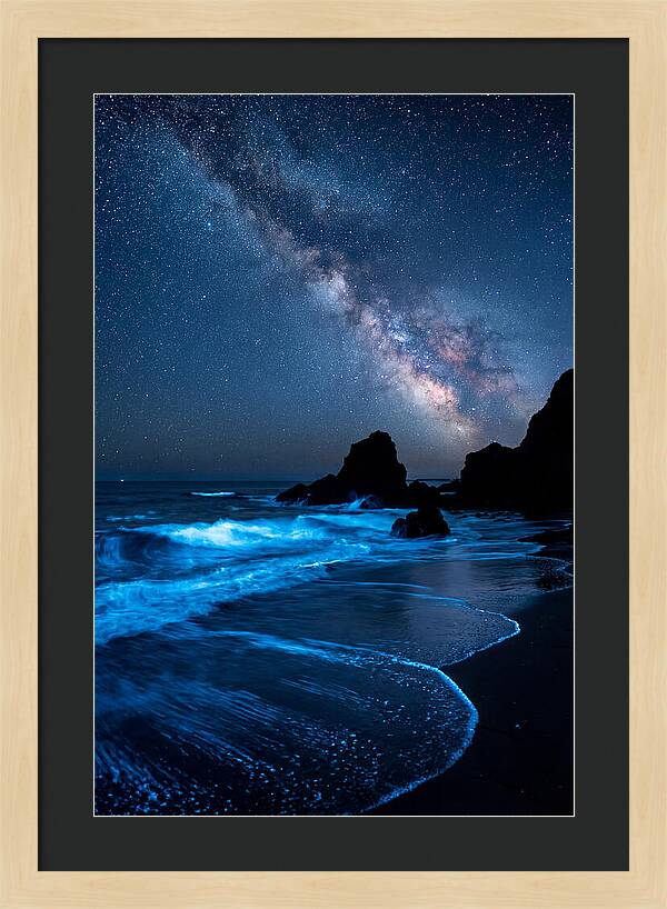 Bioluminescent Waves Under Stars
