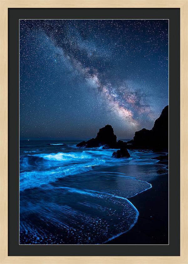 Bioluminescent Waves Under Stars
