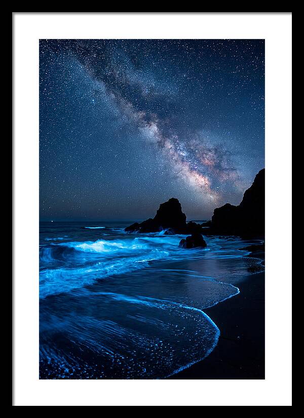 Bioluminescent Waves Under Stars