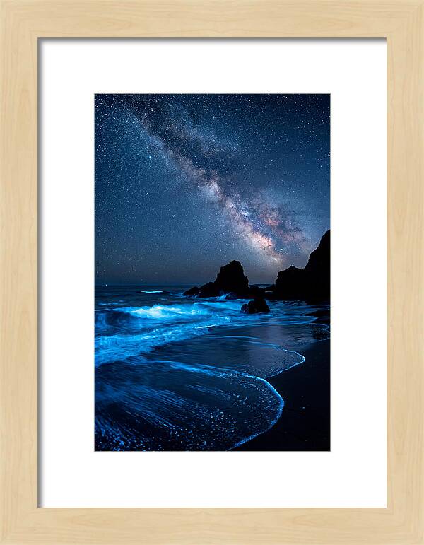 Bioluminescent Waves Under Stars