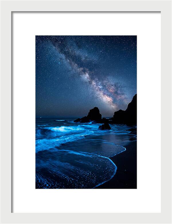 Bioluminescent Waves Under Stars