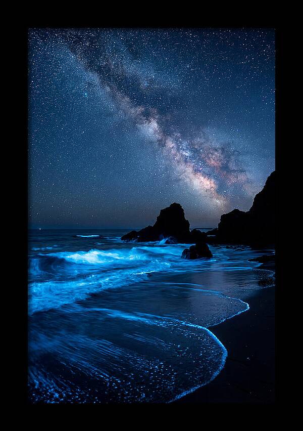 Bioluminescent Waves Under Stars