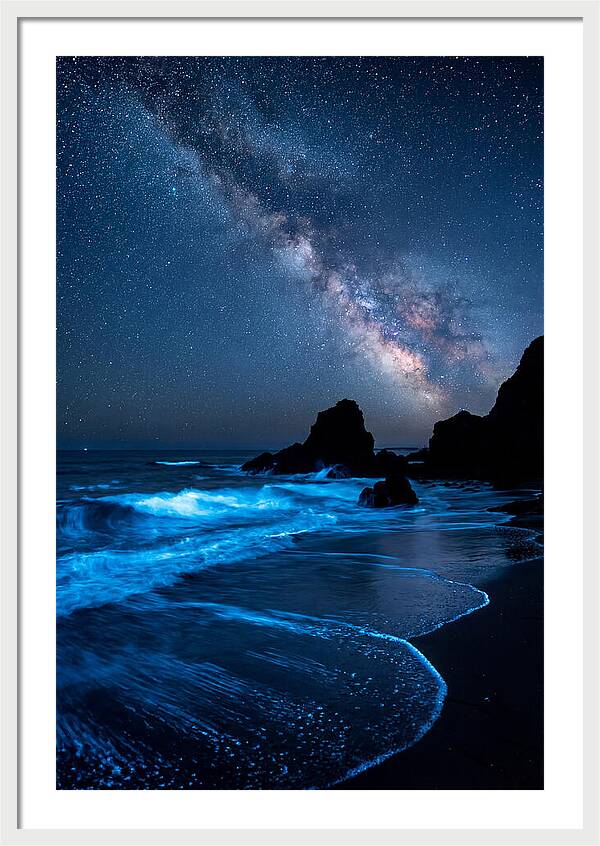 Bioluminescent Waves Under Stars