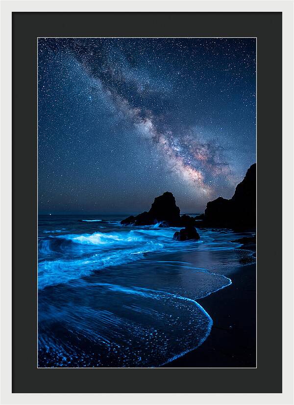 Bioluminescent Waves Under Stars