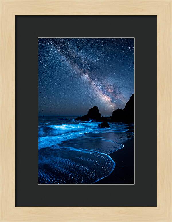 Bioluminescent Waves Under Stars