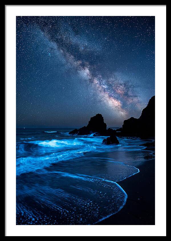Bioluminescent Waves Under Stars