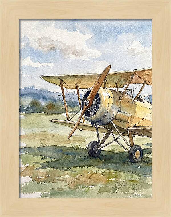Biplane In Tranquil Landscape