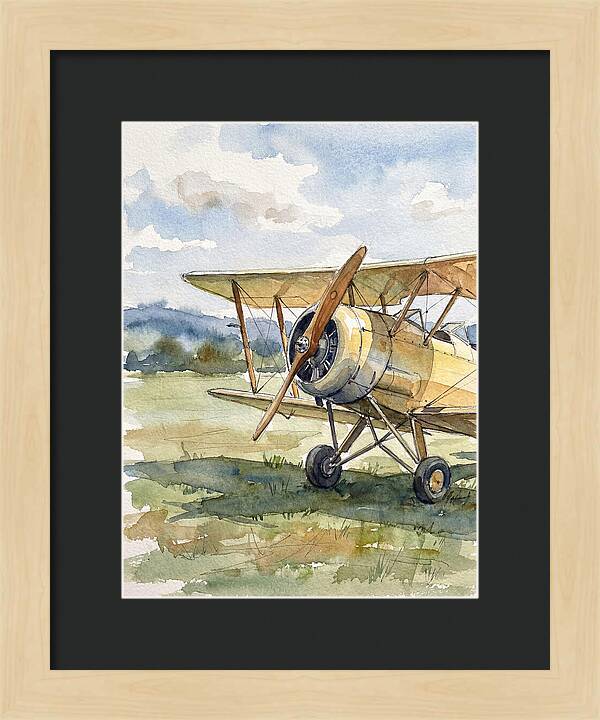 Biplane In Tranquil Landscape