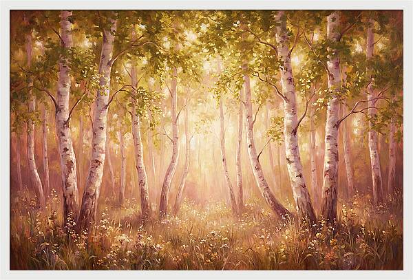 Birch Forest