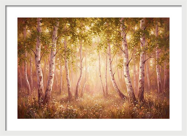 Birch Forest