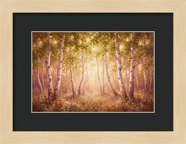 Birch Forest