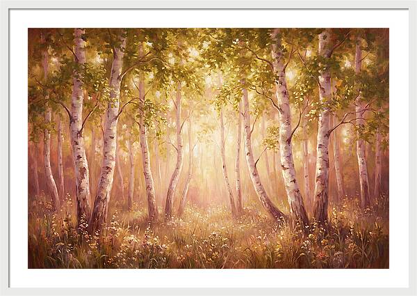Birch Forest