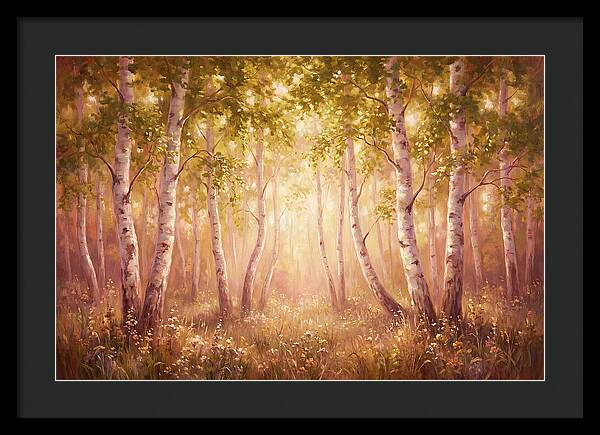 Birch Forest