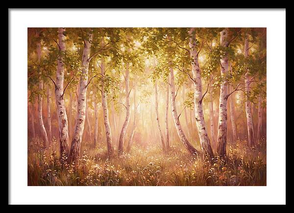 Birch Forest