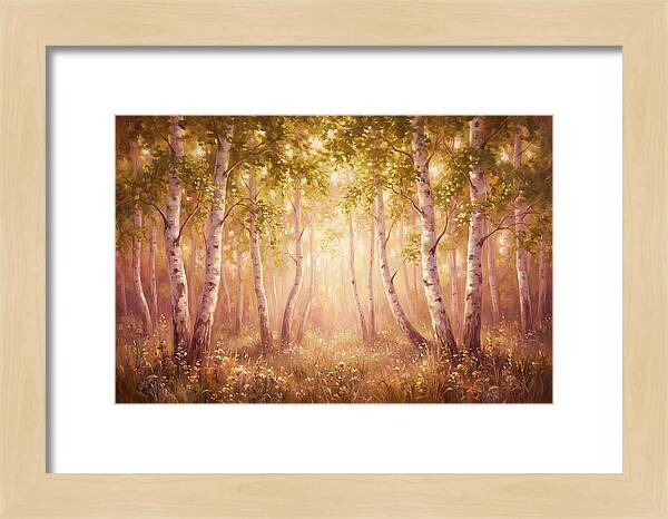 Birch Forest