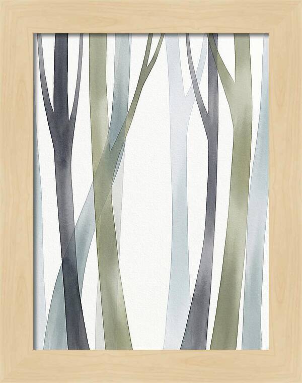 Birch Forest Serenity