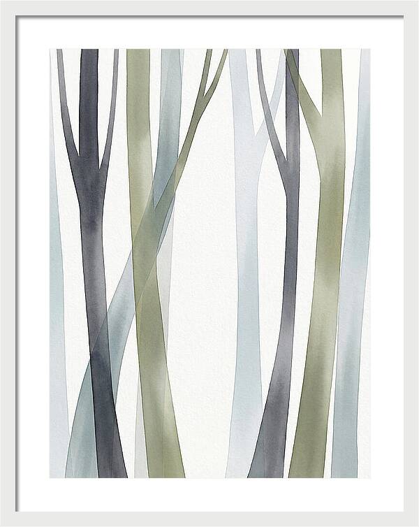 Birch Forest Serenity