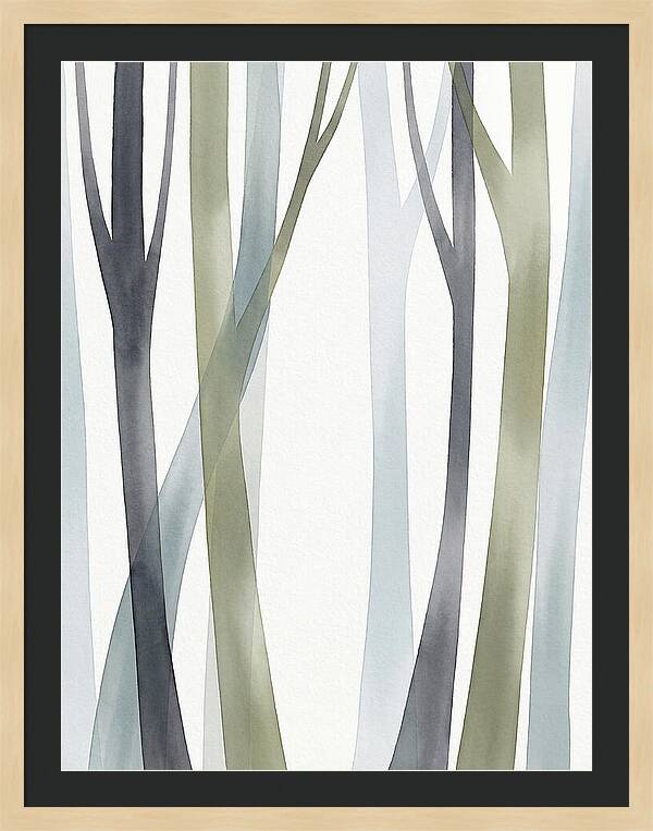 Birch Forest Serenity