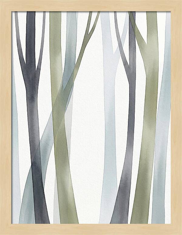 Birch Forest Serenity