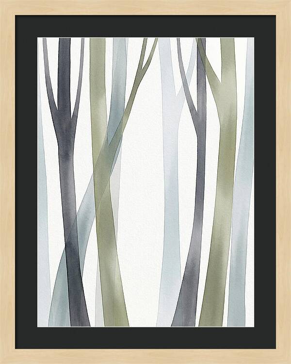 Birch Forest Serenity