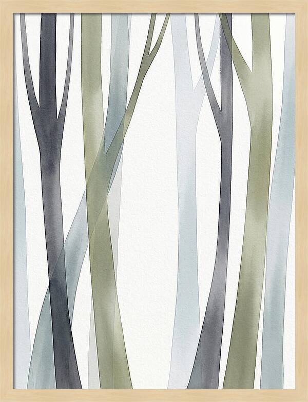 Birch Forest Serenity