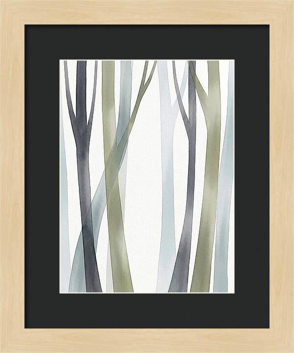 Birch Forest Serenity