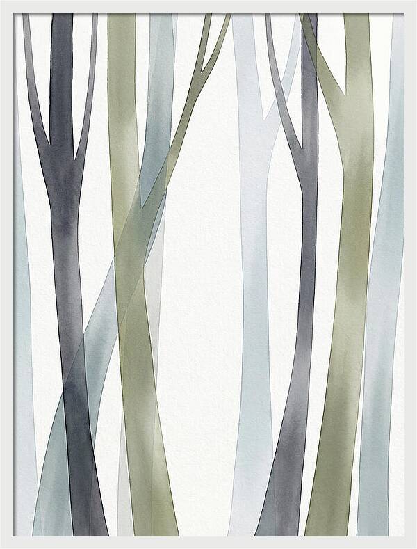 Birch Forest Serenity