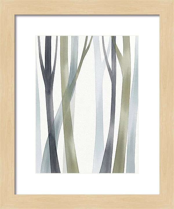 Birch Forest Serenity