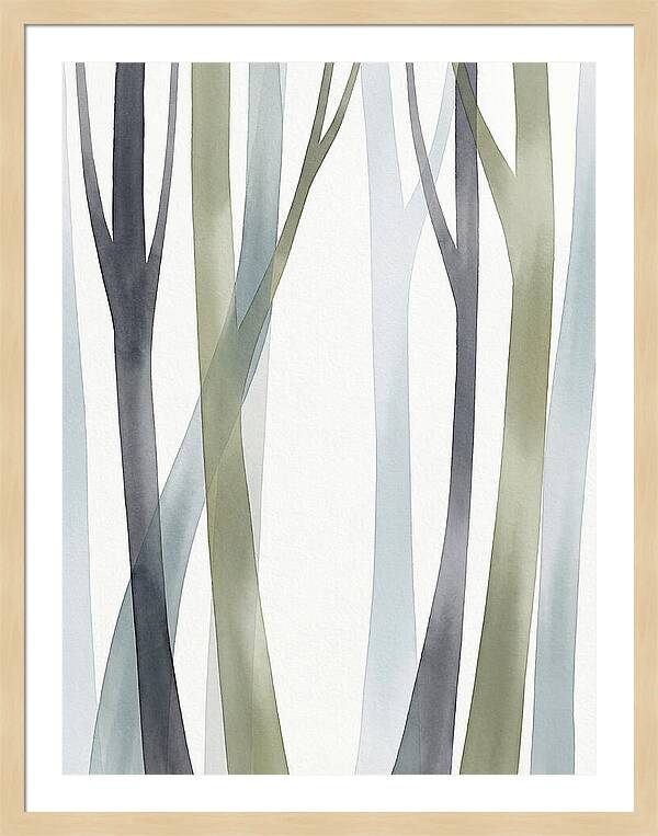 Birch Forest Serenity