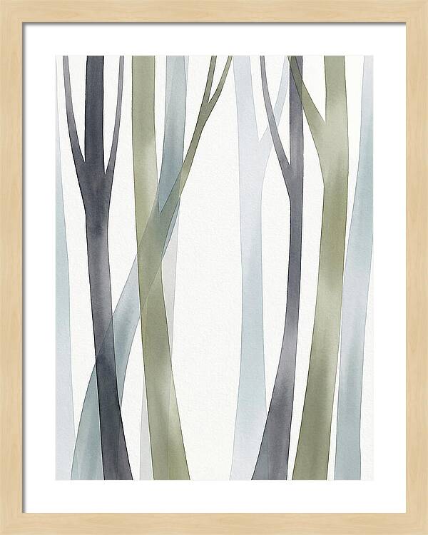 Birch Forest Serenity