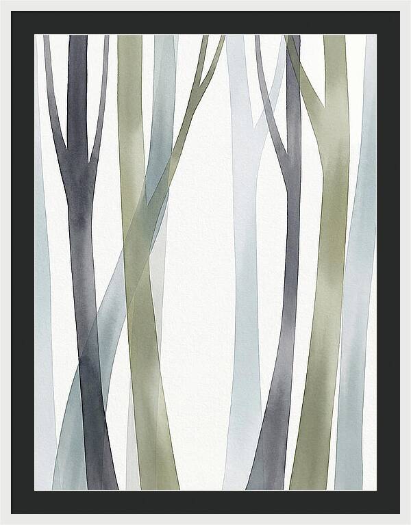 Birch Forest Serenity