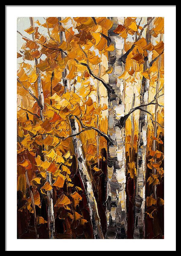 Birch Grove In Golden Autumn