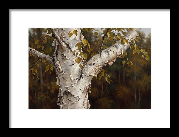 Birch Tree Elegance