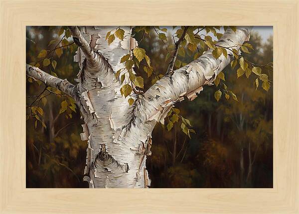 Birch Tree Elegance