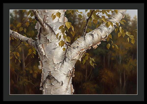 Birch Tree Elegance