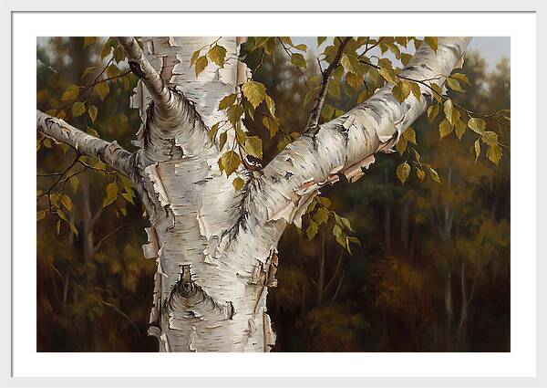 Birch Tree Elegance