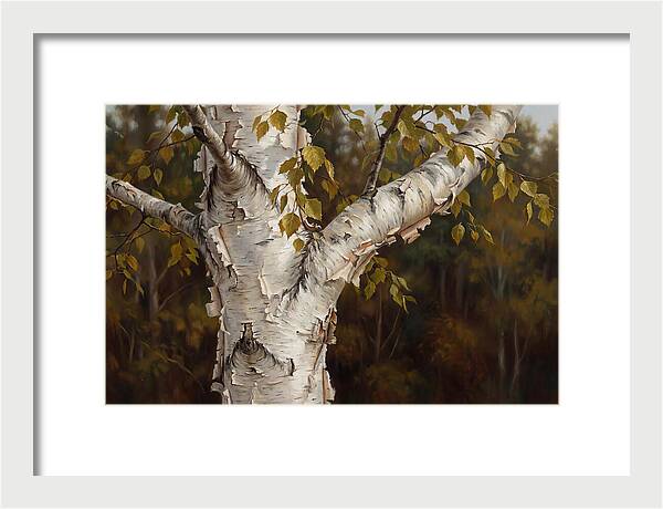Birch Tree Elegance