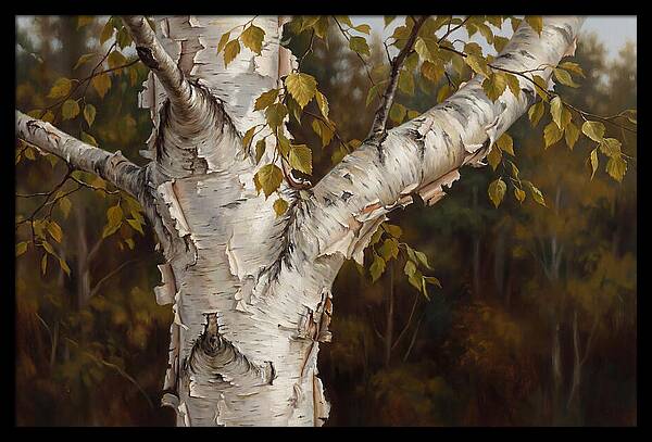 Birch Tree Elegance