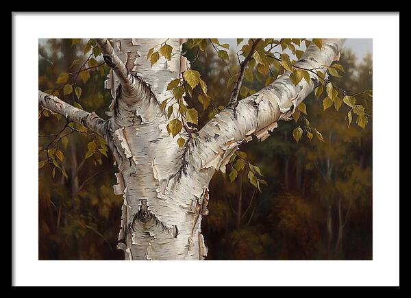 Birch Tree Elegance