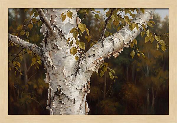 Birch Tree Elegance