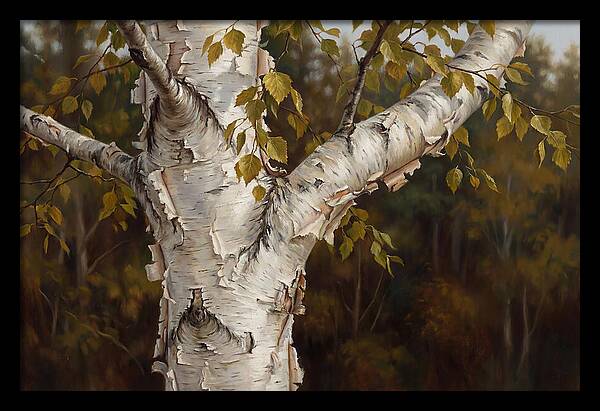 Birch Tree Elegance