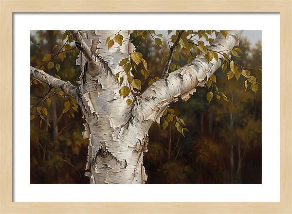 Birch Tree Elegance